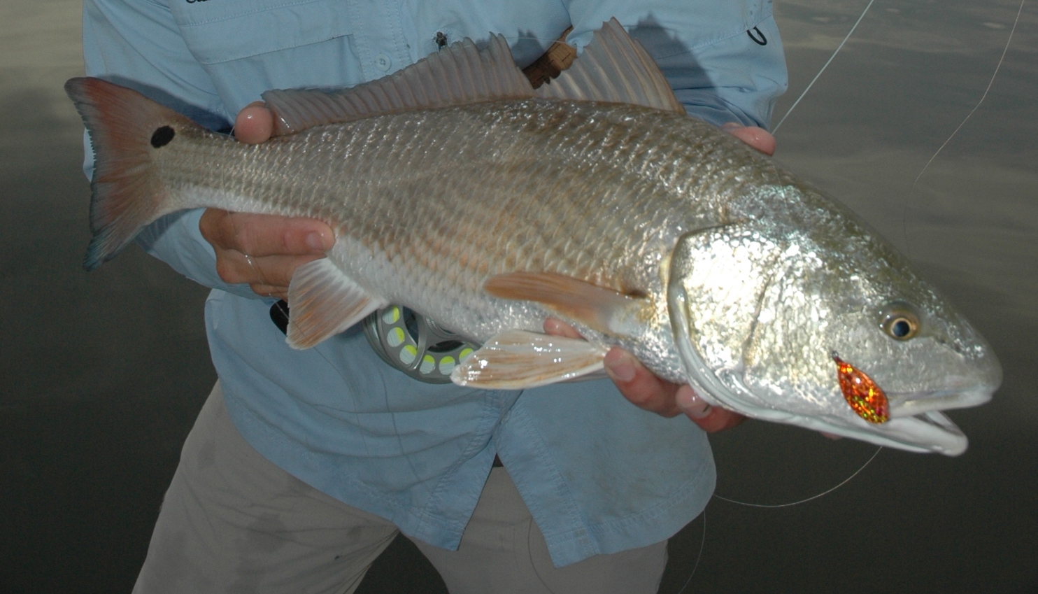 Arroyo Lodge, Arroyo City Texas